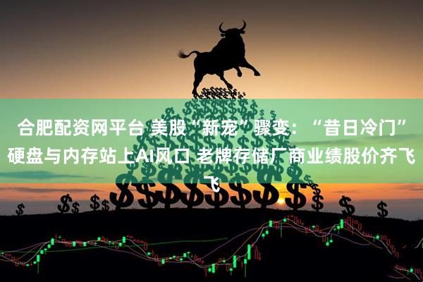合肥配资网平台 美股“新宠”骤变：“昔日冷门”硬盘与内存站上AI风口 老牌存储厂商业绩股价齐飞