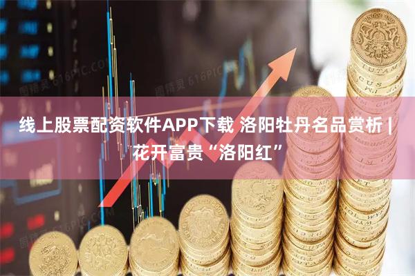线上股票配资软件APP下载 洛阳牡丹名品赏析 | 花开富贵“洛阳红”
